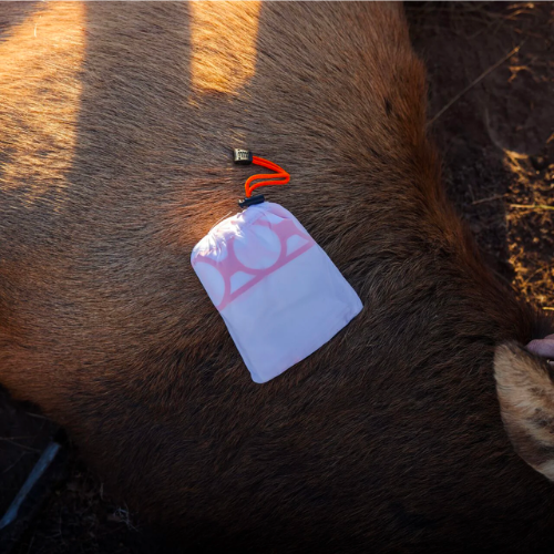 Eberlestock EMOD Quarter Game Bag, Medium