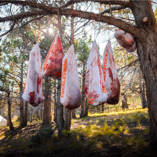 Eberlestock EMOD Quarter Game Bag, Medium